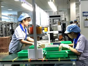 綠色制造新標桿 海曙牛企投入億元自主研發，榮膺國家級“綠色工廠”