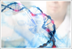 DNA-In SY5Y - 0.1 mL現貨供應 品牌:GlobalStem 美國 -蓋德化工網