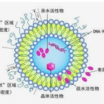 海藻酸鈉包覆胰島素脂質(zhì)體產(chǎn)品圖片