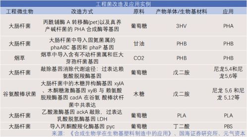 生物基產業崛起 新材料應用加速,資本紛紛入局