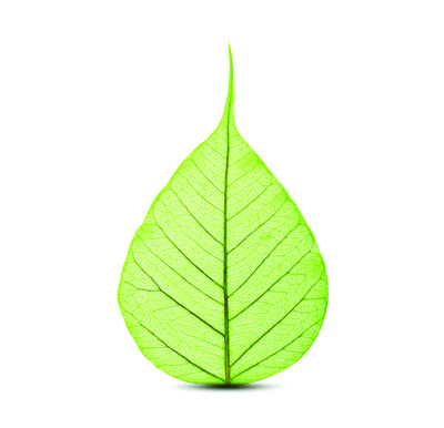 SABIC推出NORYL所有牌號(hào)樹脂的生物基版本,進(jìn)一步推動(dòng)塑料的循環(huán)經(jīng)濟(jì)發(fā)展