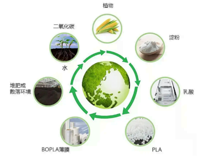 2025年,全球生物基聚合物產(chǎn)量預(yù)計(jì)達(dá)到近7百萬(wàn)噸