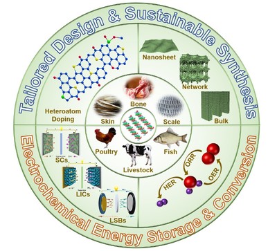 王峰教授,張正平副教授研究團隊和黃雅欽教授研究團隊在國際權威期刊《Advanced Functional Materials》期刊上發表學術論文