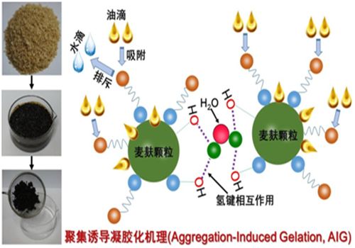 生物基凝油材料研究領域取得進展
