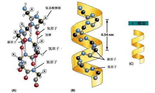 原來曬被子有很多誤區,不注意就白曬了 最后一個你有沒有犯過