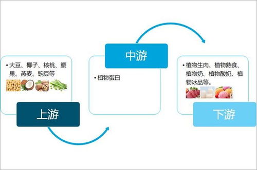 2021年全球及中國植物基行業市場規模及重點企業經營現狀分析