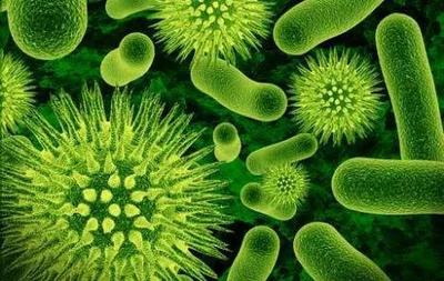 生物基與阻燃能否有火花?
