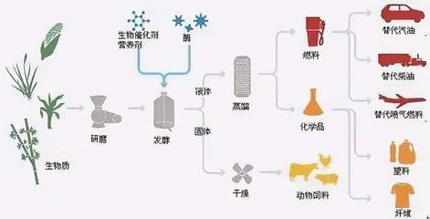 “生物基材料”是什么?不妨了解一下,真環保的新材料