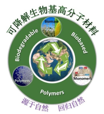 團隊簡介